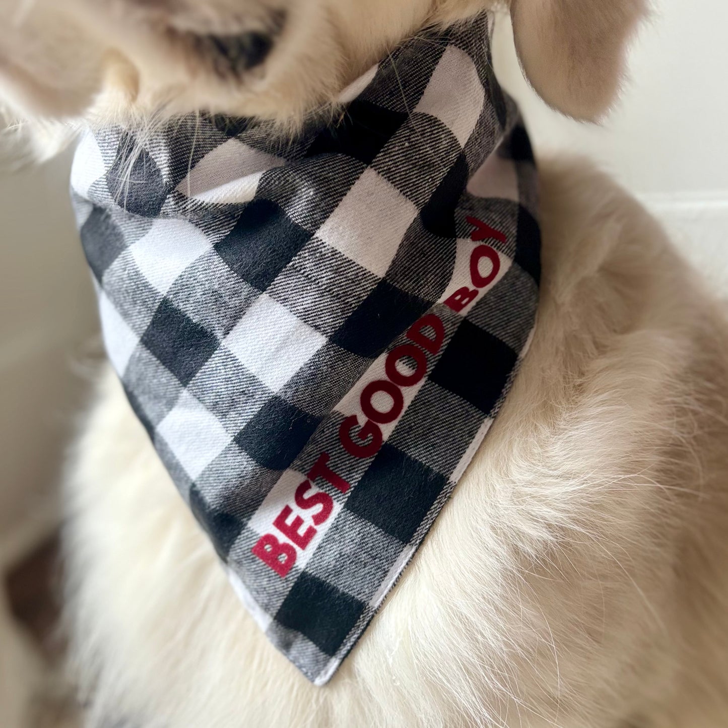 SALE Black and White Flannel Slogan Dog Bandana