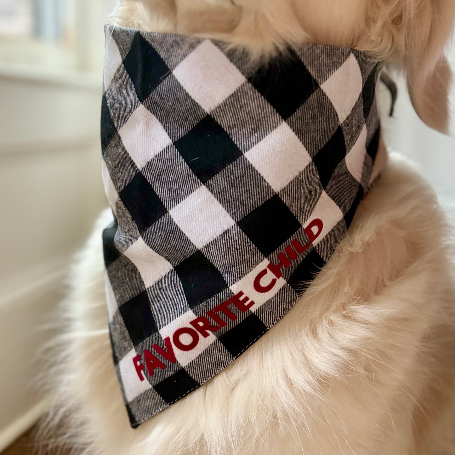 SALE Black and White Flannel Slogan Dog Bandana