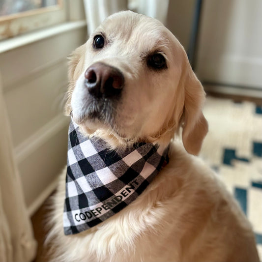 SALE Black and White Flannel Slogan Dog Bandana