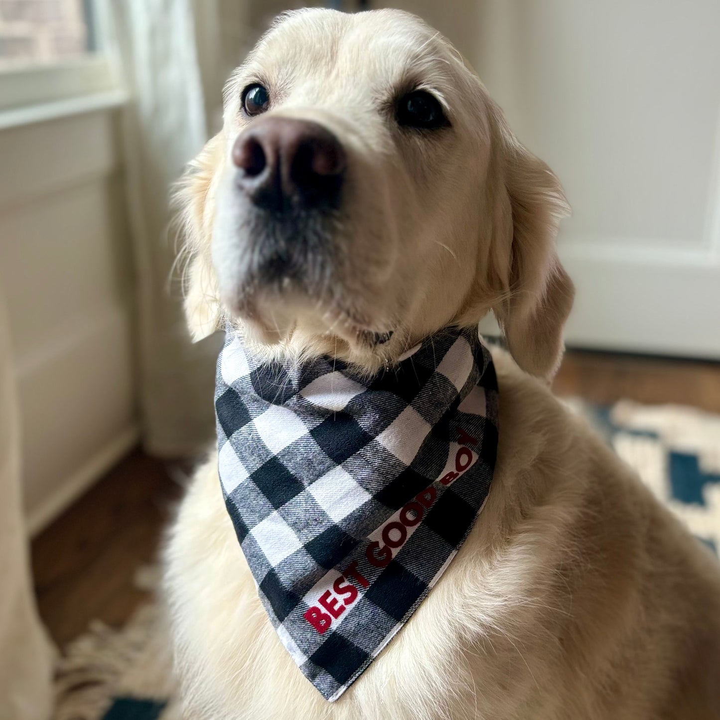 SALE Black and White Flannel Slogan Dog Bandana