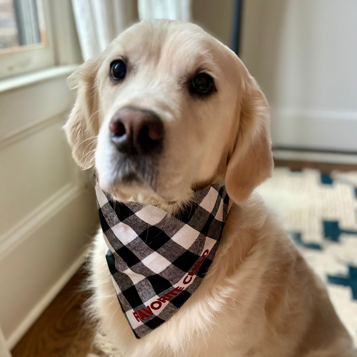 SALE Black and White Flannel Slogan Dog Bandana