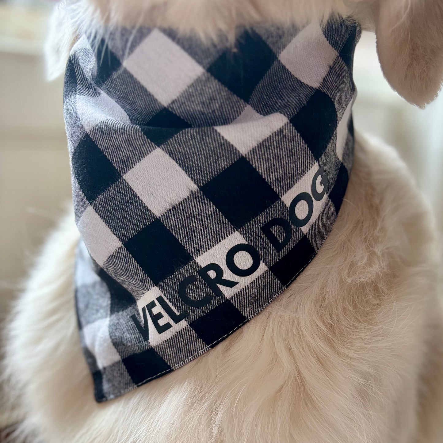 SALE Black and White Flannel Slogan Dog Bandana