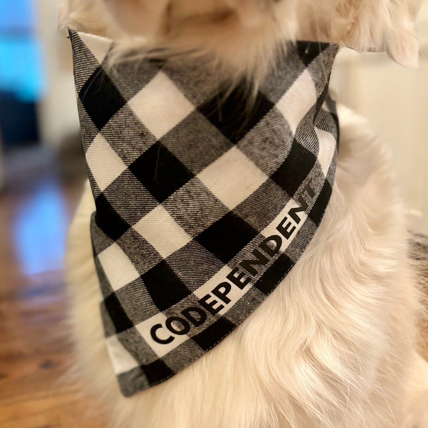 SALE Black and White Flannel Slogan Dog Bandana